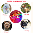 Load image into Gallery viewer, LED Adjustable Dog Collar Blinking Flashing Light up Glow Pets Safety Waterproof
