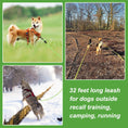 Load image into Gallery viewer, Floating Long Dog Leash, 32Ft Dog Training Leash for Swimming and Lake, Reflective Long Rope Lead with Soft Handle for Outside, Yard, Camping, Hiking and Beach (Green)
