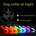 Load image into Gallery viewer, LED Adjustable Dog Collar Blinking Flashing Light up Glow Pets Safety Waterproof
