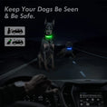 Load image into Gallery viewer, LED Adjustable Dog Collar Blinking Flashing Light up Glow Pets Safety Waterproof
