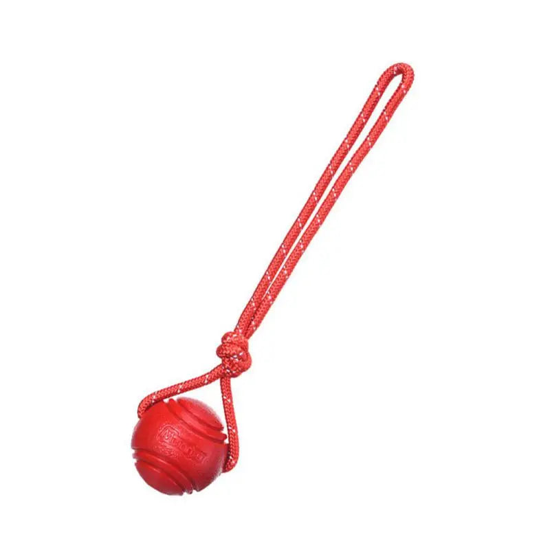 “BounceBell™ Interactive Dog Ball Toy – Durable, Colorful & Jingle Sound Play Ball”