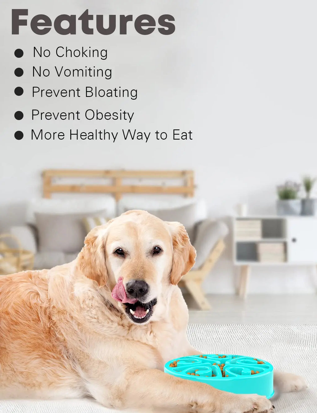 ✔️ “Slow Feeder Dog Bowl – Anti-Slip & Anti-Choking Design”