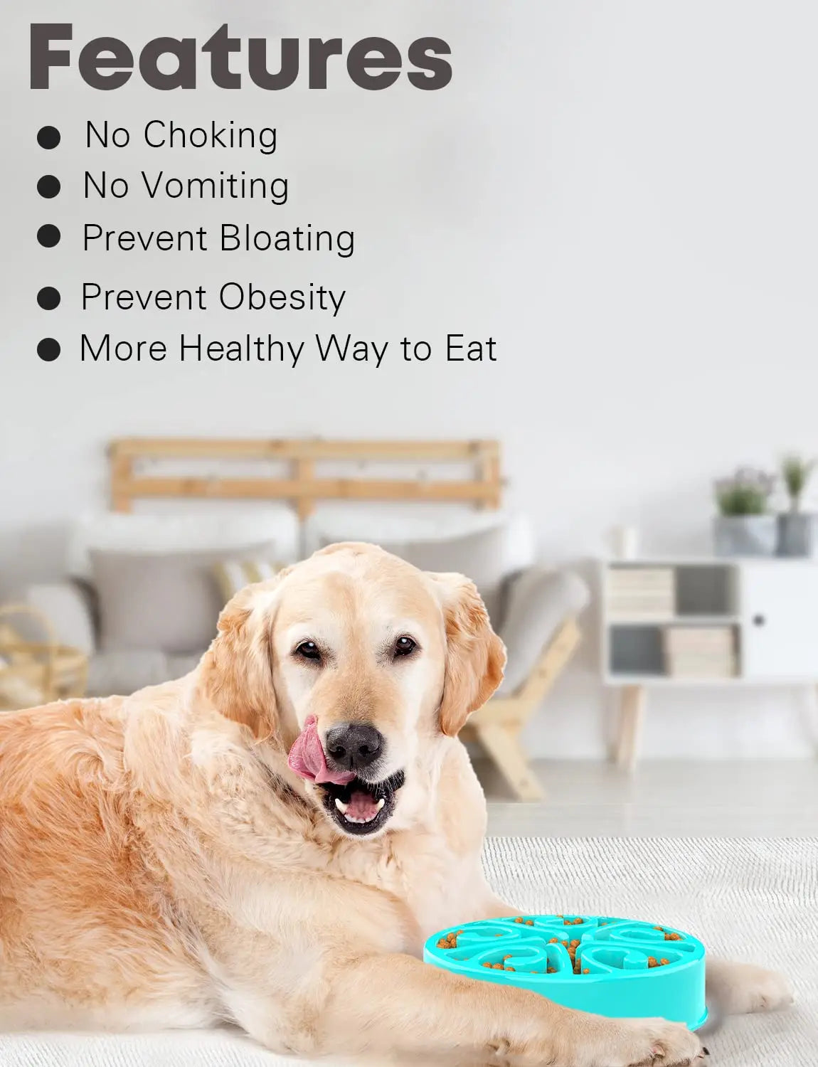 ✔️ “Slow Feeder Dog Bowl – Anti-Slip & Anti-Choking Design”