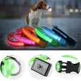 Load image into Gallery viewer, LED Adjustable Dog Collar Blinking Flashing Light up Glow Pets Safety Waterproof
