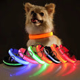 Load image into Gallery viewer, LED Adjustable Dog Collar Blinking Flashing Light up Glow Pets Safety Waterproof
